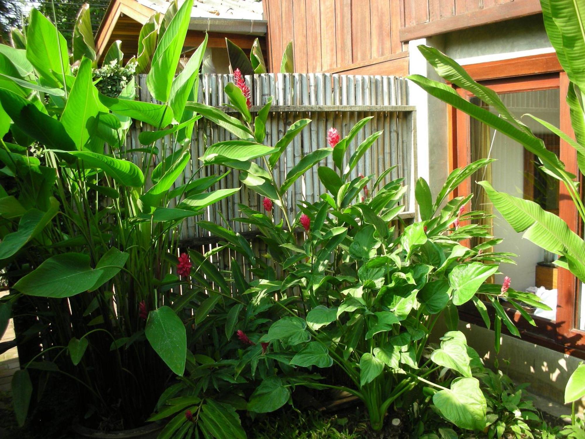 Chiang Maan Residence Chiang Mai Exterior foto
